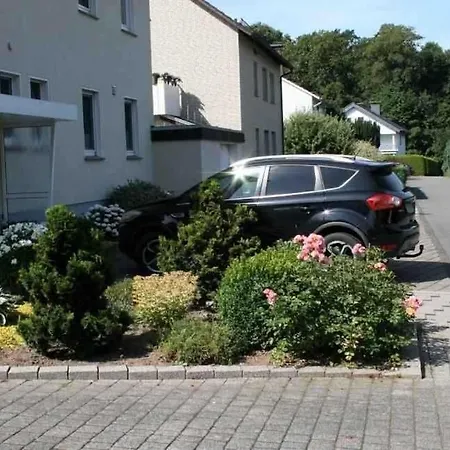 Elchschaufel Schieder-Schwalenberg